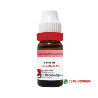 Dr Reckeweg Silicea 1M